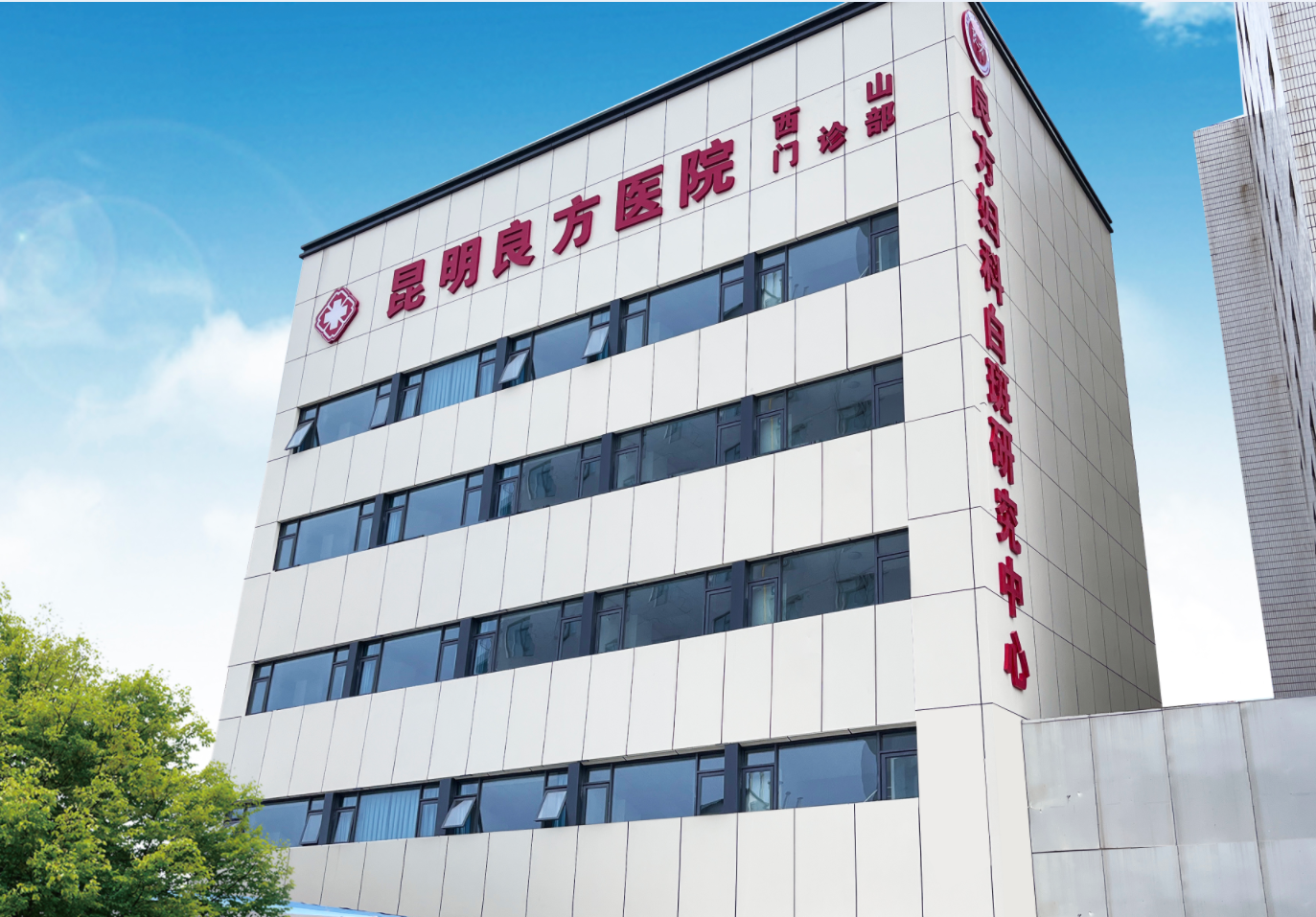 外阴白斑是什么？