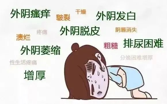 外阴白斑到底会不会传染？