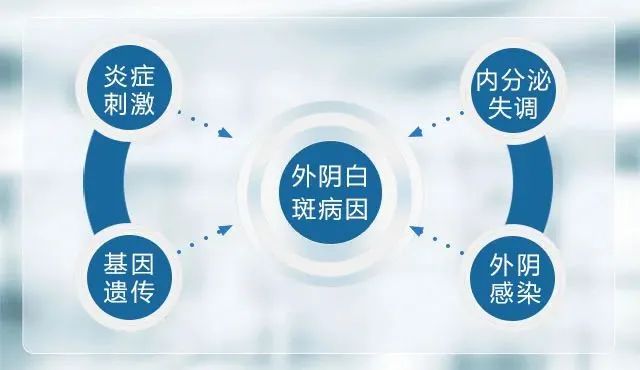 妇科炎症感染为什么会引发外阴白斑？