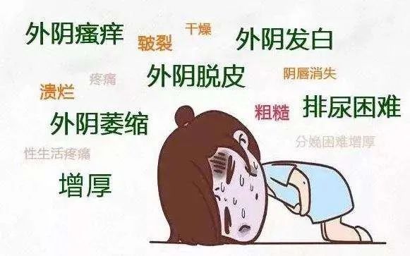妇科凝胶可以治疗外阴白斑吗