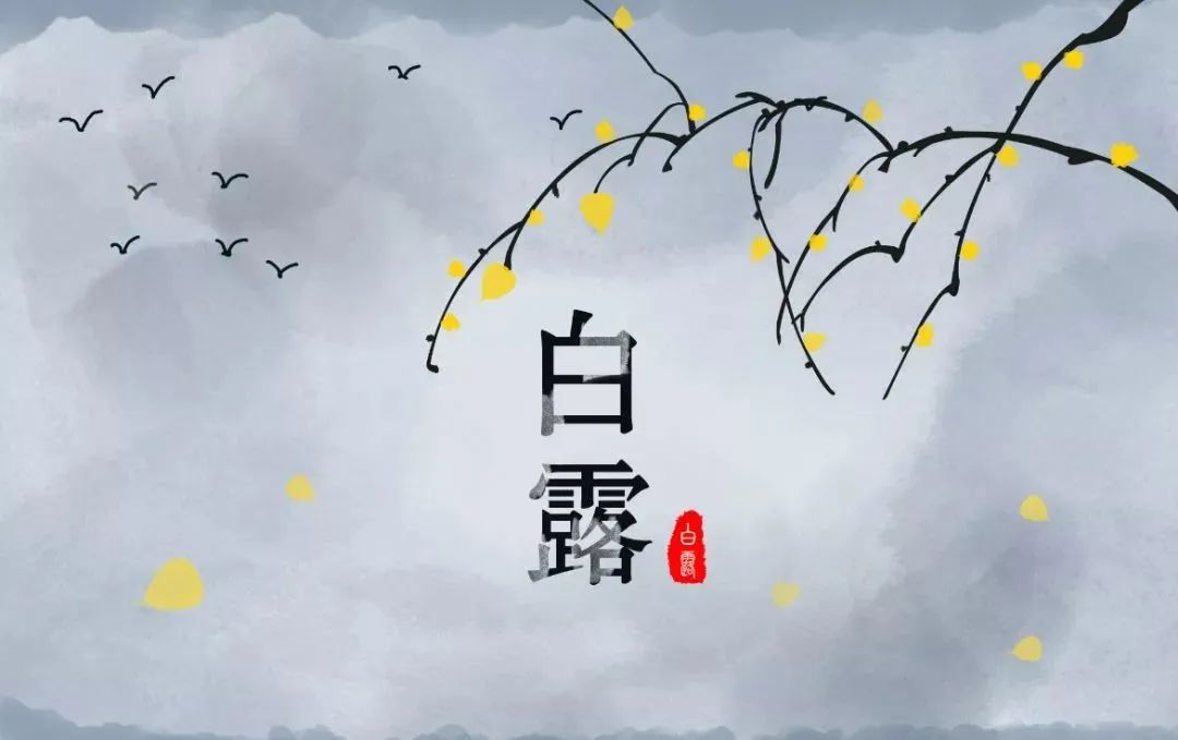 外阴白斑如何护理