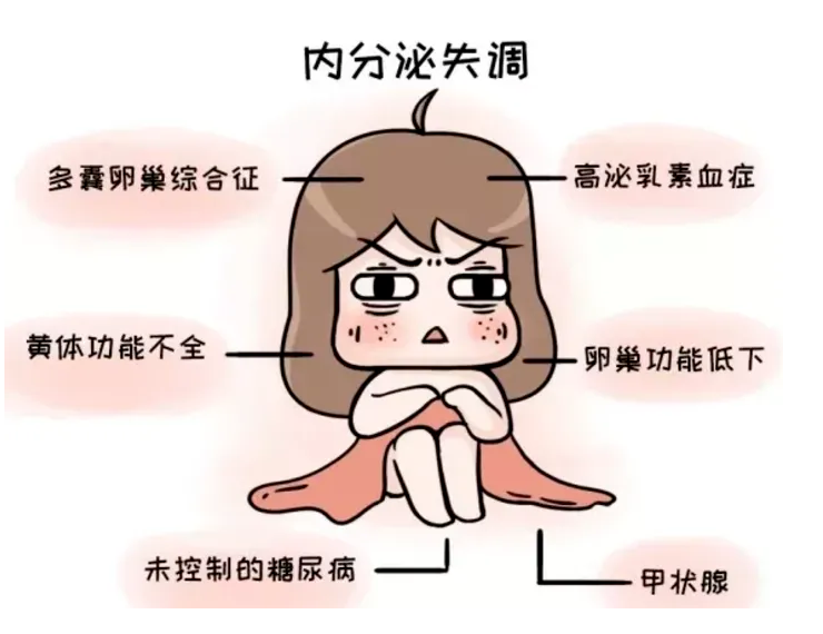 外阴白斑是内分泌失调导致的吗？