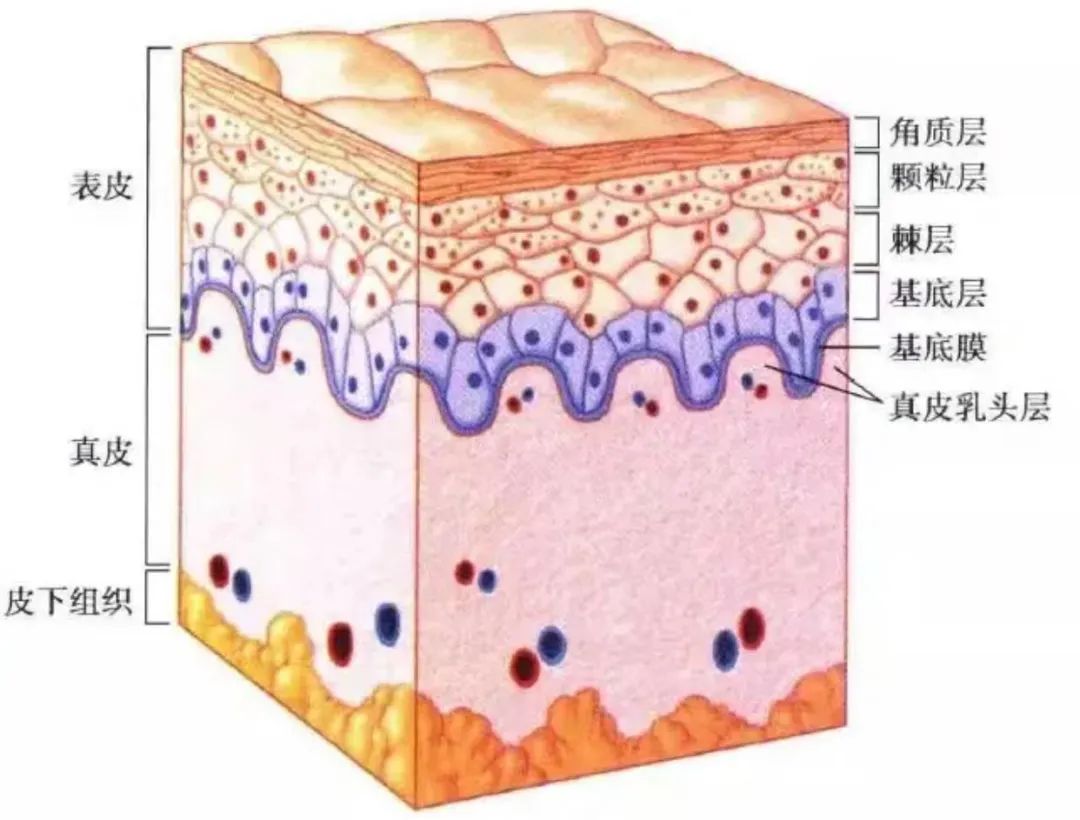 妇科凝胶能治疗外阴白斑吗？