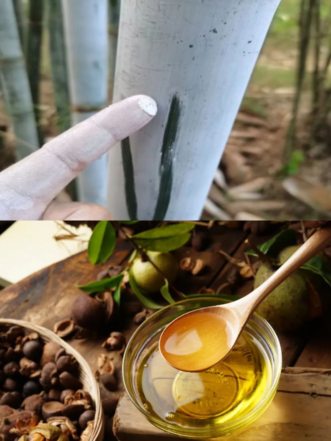 竹白霜加茶油这种偏方可以治疗外阴白斑吗？