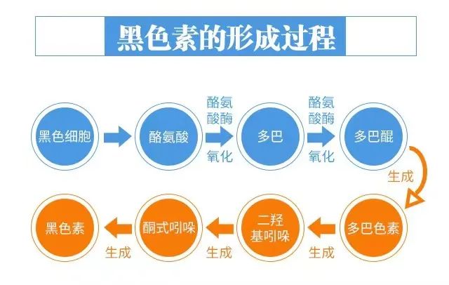 外阴皮肤发白和黑色素有什么关系?