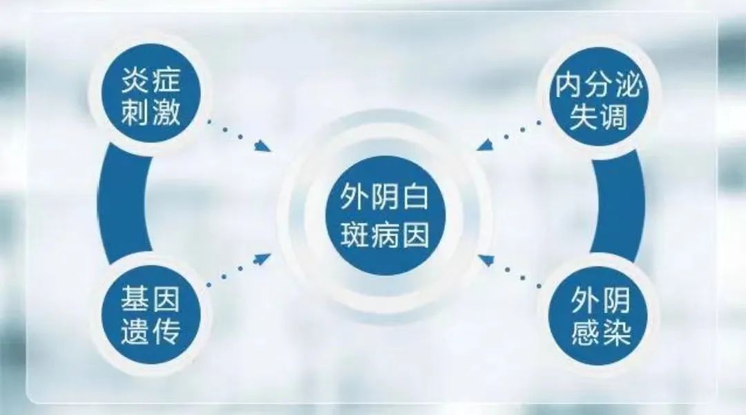 如何做才能降低外阴白斑在治疗后复发？