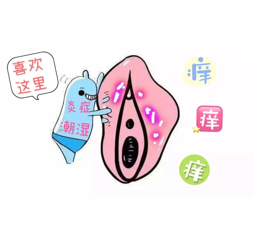 女性的外阴白斑是缺什么营养？