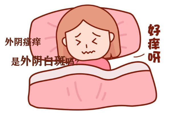 外阴白斑瘙痒图