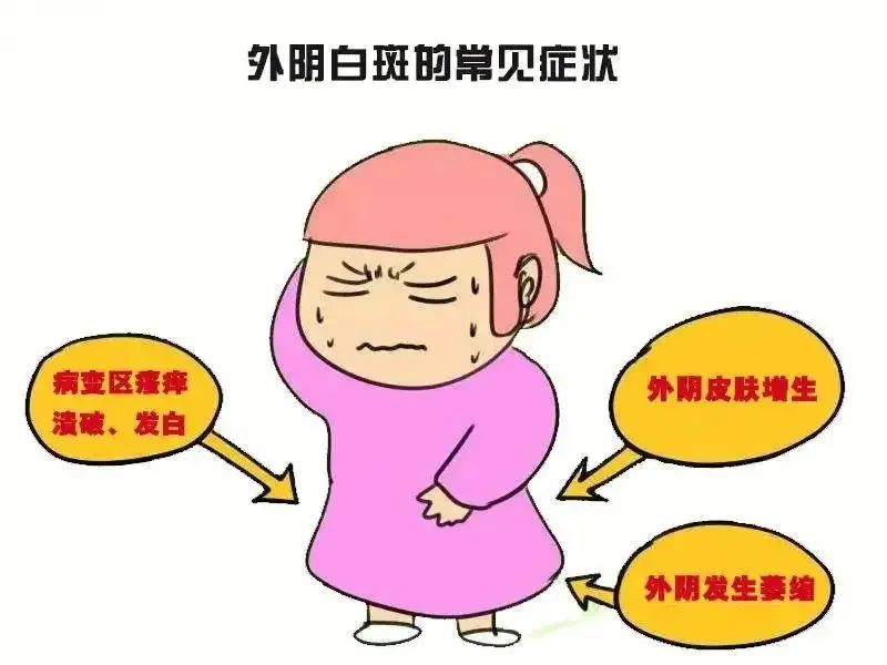 什么是外阴营养不良? 什么是外阴营养不良?