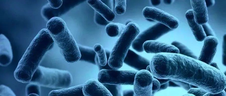外阴白斑病情加重和哪些食物有关? 外阴白斑病情加重和哪些食物有关?
