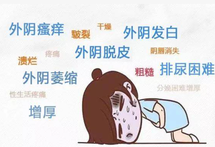 得了外阴白斑后可以根除吗? 得了外阴白斑后可以根除吗?