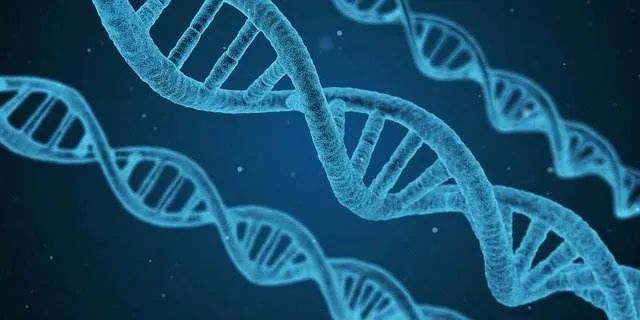 外阴白斑不治疗会好吗 外阴白斑不治疗会好吗