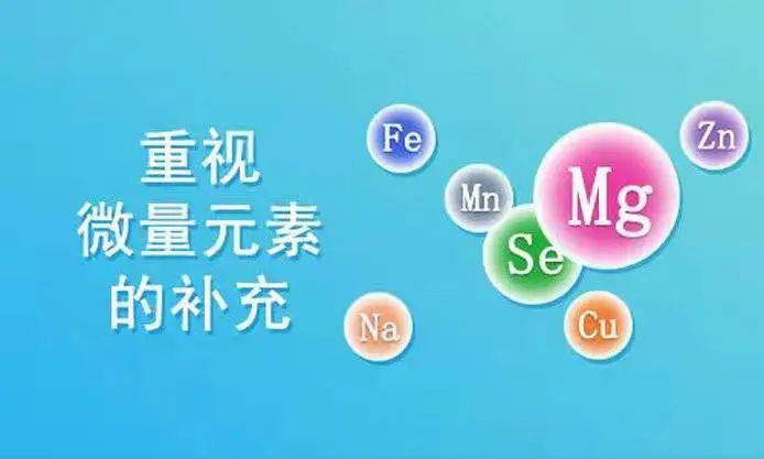得了外阴白斑后能吃炸鸡和汉堡吗? 得了外阴白斑后能吃炸鸡和汉堡吗?