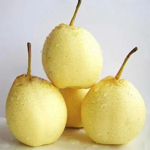 5 5