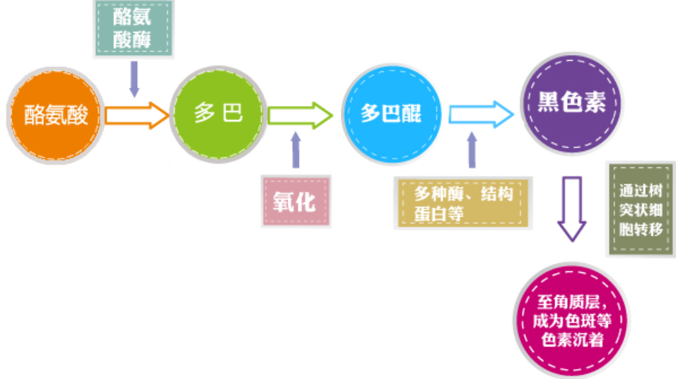 外阴白斑患者在康复过程中吃哪些食物好的快? 外阴白斑患者在康复过程中吃哪些食物好的快?