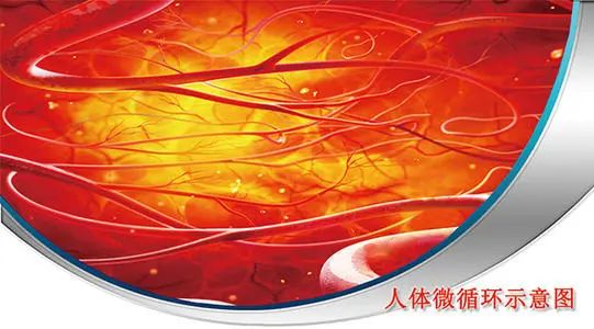 微循环和外阴白斑之间的关系 微循环和外阴白斑之间的关系